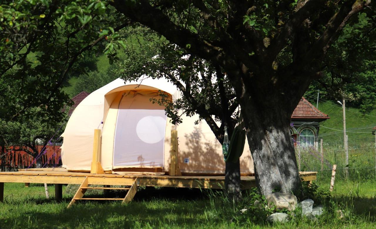 Flore'S Garden Glamping Bran  Exterior foto