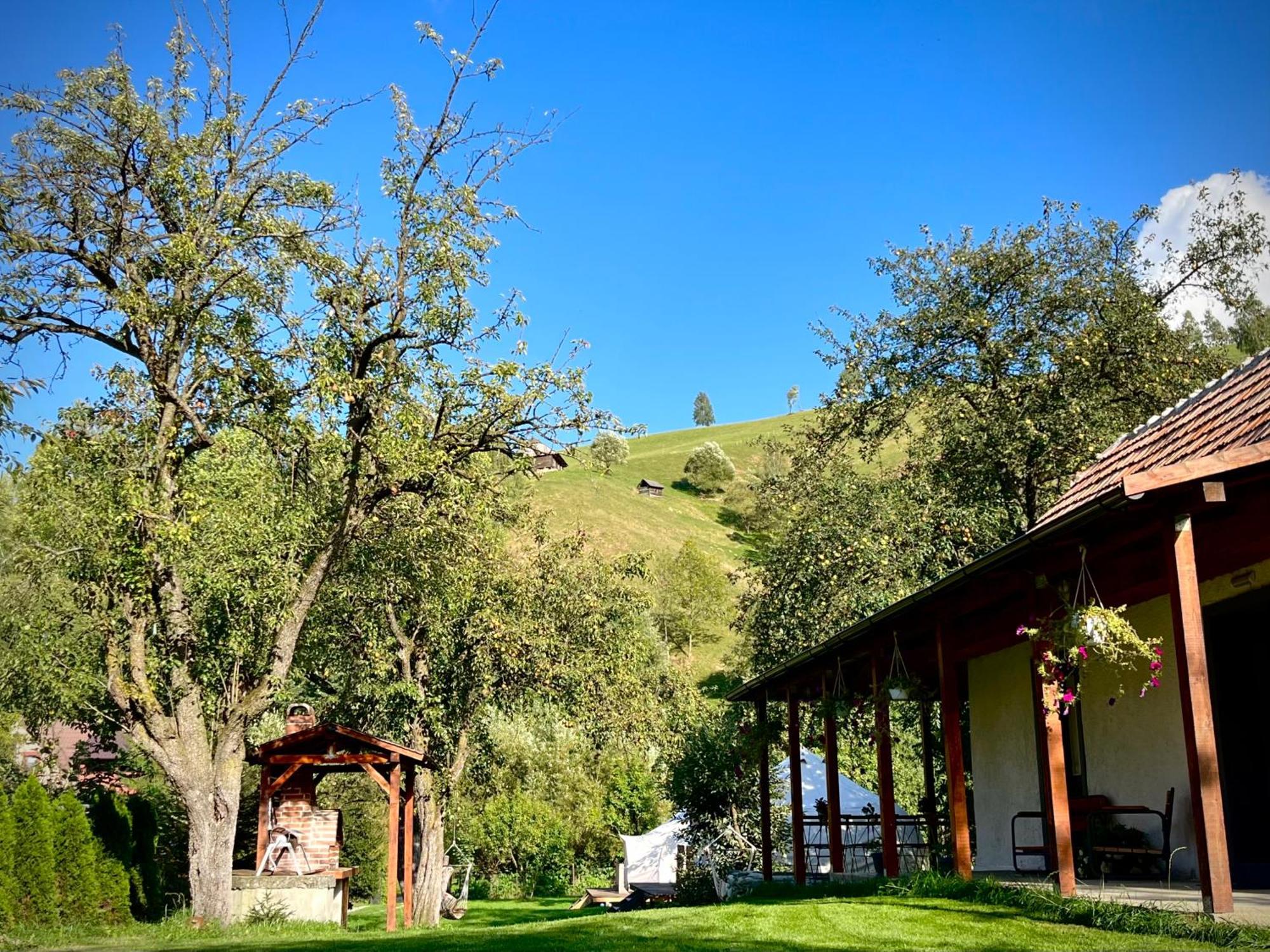 Hotel Flore'S Garden Glamping Bran  Exterior foto